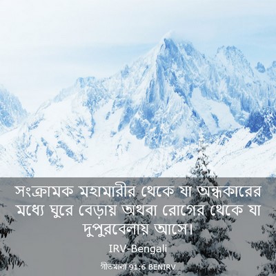 Picture 03 - গীতমালা 91:6 BENIRV - সংক্রামক মহামারীর - Bible Verse Picture