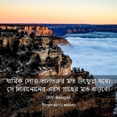 Picture 03 - গীতমালা 92:12 BENIRV - ধার্মিক লোক - Bible Verse Picture