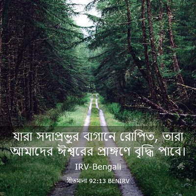 Picture 03 - গীতমালা 92:13 BENIRV - যারা সদাপ্রভুুর - Bible Verse Picture