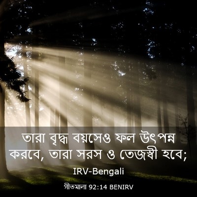 Picture 03 - গীতমালা 92:14 BENIRV - তারা বৃদ্ধ বয়সেও - Bible Verse Picture