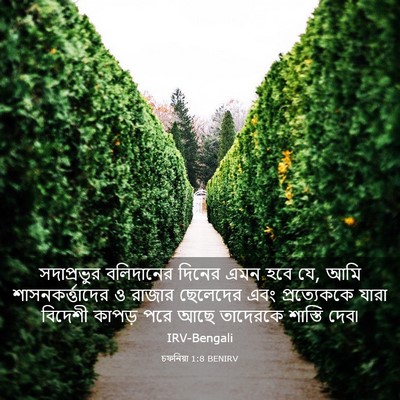 Picture 03 - চফনিয়া 1:8 BENIRV - সদাপ্রভুর - Bible Verse Picture