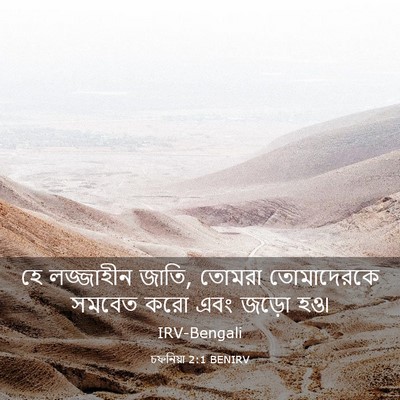 Picture 03 - চফনিয়া 2:1 BENIRV - হে লজ্জাহীন জাতি, - Bible Verse Picture
