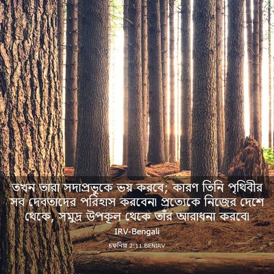 Picture 03 - চফনিয়া 2:11 BENIRV - তখন তারা - Bible Verse Picture