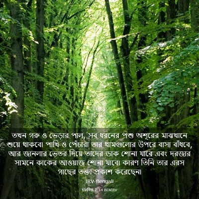 Picture 03 - চফনিয়া 2:14 BENIRV - তখন গরু ও ভেড়ার - Bible Verse Picture