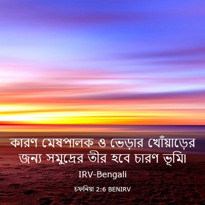 Picture 03 - চফনিয়া 2:6 BENIRV - কারণ মেষপালক ও - Bible Verse Picture