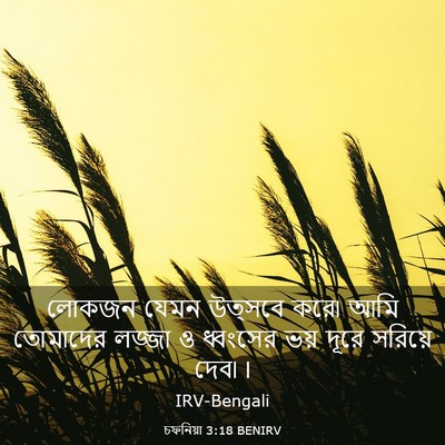 Picture 03 - চফনিয়া 3:18 BENIRV - লোকজন যেমন উত্সবে - Bible Verse Picture