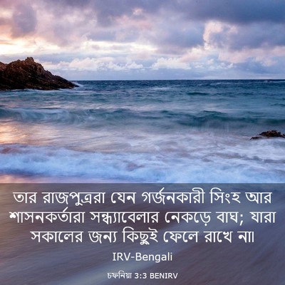 Picture 03 - চফনিয়া 3:3 BENIRV - তার রাজপুত্ররা - Bible Verse Picture