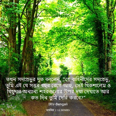 Picture 03 - জখৰিয়া 1:12 BENIRV - তখন সদাপ্রভুর দূত - Bible Verse Picture