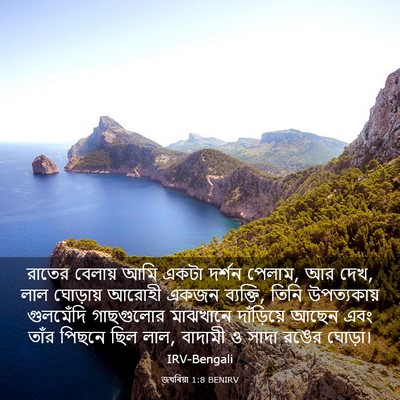 Picture 03 - জখৰিয়া 1:8 BENIRV - রাতের বেলায় আমি - Bible Verse Picture