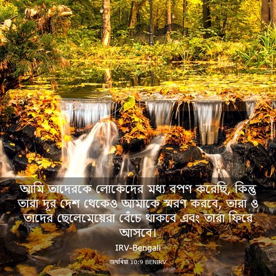 Picture 03 - জখৰিয়া 10:9 BENIRV - আমি তাদেরকে - Bible Verse Picture