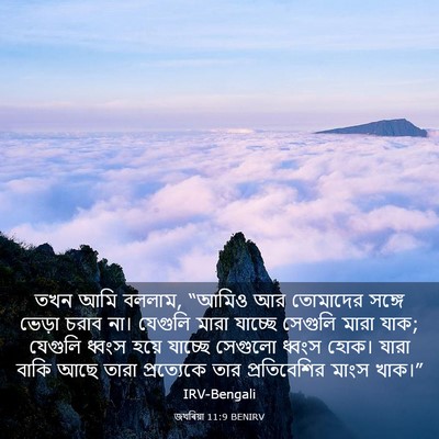 Picture 03 - জখৰিয়া 11:9 BENIRV - তখন আমি বললাম, - Bible Verse Picture