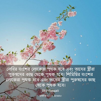 Picture 03 - জখৰিয়া 12:13 BENIRV - লেবির বংশের - Bible Verse Picture