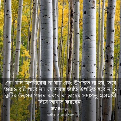 Picture 03 - জখৰিয়া 14:18 BENIRV - এবং যদি - Bible Verse Picture