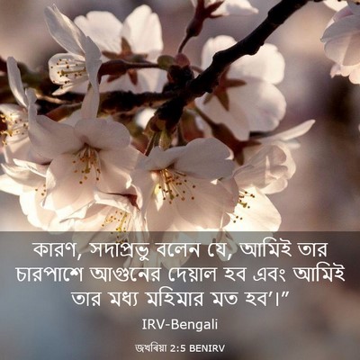 Picture 03 - জখৰিয়া 2:5 BENIRV - কারণ, সদাপ্রভু - Bible Verse Picture