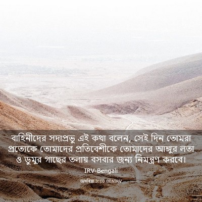 Picture 03 - জখৰিয়া 3:10 BENIRV - বাহিনীদের - Bible Verse Picture