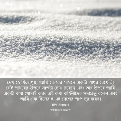 Picture 03 - জখৰিয়া 3:9 BENIRV - দেখ হে যিহোশূয়, - Bible Verse Picture