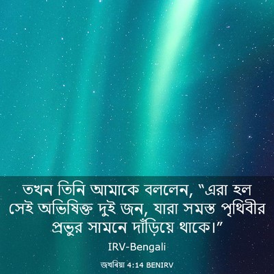 Picture 03 - জখৰিয়া 4:14 BENIRV - তখন তিনি আমাকে - Bible Verse Picture