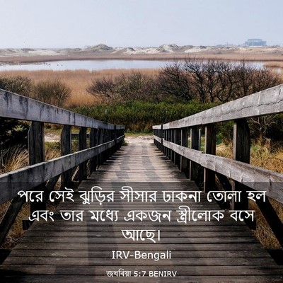 Picture 03 - জখৰিয়া 5:7 BENIRV - পরে সেই ঝুড়ির - Bible Verse Picture