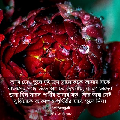 Picture 03 - জখৰিয়া 5:9 BENIRV - আমি চোখ তুলে দুই জন - Bible Verse Picture