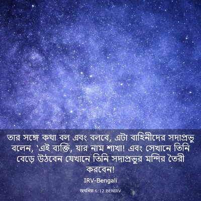 Picture 03 - জখৰিয়া 6:12 BENIRV - তার সঙ্গে কথা বল - Bible Verse Picture