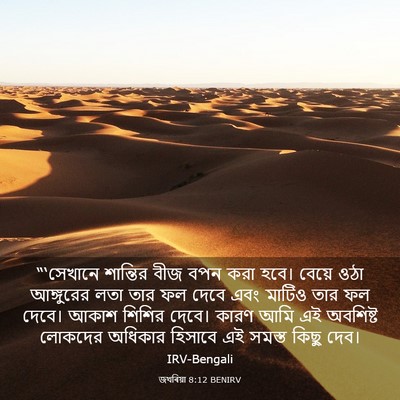 Picture 03 - জখৰিয়া 8:12 BENIRV - “‘সেখানে শান্তির - Bible Verse Picture