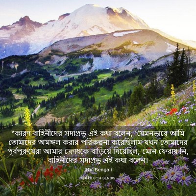 Picture 03 - জখৰিয়া 8:14 BENIRV - “কারণ বাহিনীদের - Bible Verse Picture