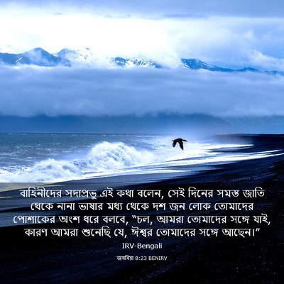 Picture 03 - জখৰিয়া 8:23 BENIRV - বাহিনীদের - Bible Verse Picture