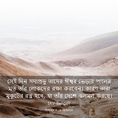 Picture 03 - জখৰিয়া 9:16 BENIRV - সেই দিন সদাপ্রভু - Bible Verse Picture