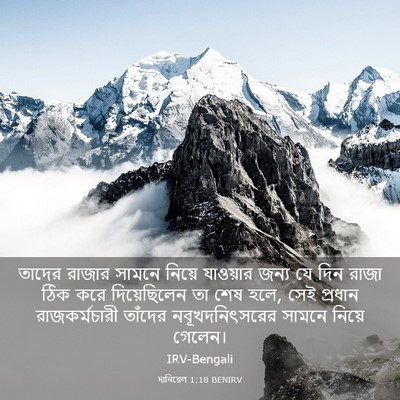 Picture 03 - দানিয়েল 1:18 BENIRV - তাদের রাজার সামনে - Bible Verse Picture