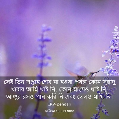 Picture 03 - দানিয়েল 10:3 BENIRV - সেই তিন সপ্তাহ শেষ - Bible Verse Picture