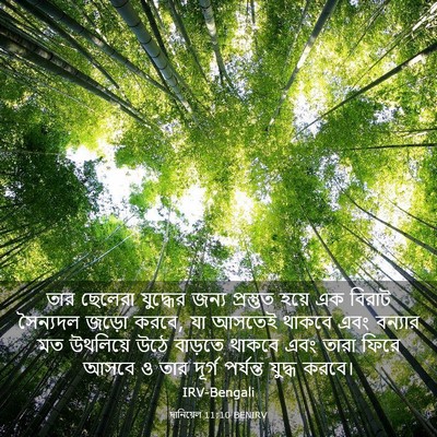 Picture 03 - দানিয়েল 11:10 BENIRV - তার ছেলেরা - Bible Verse Picture