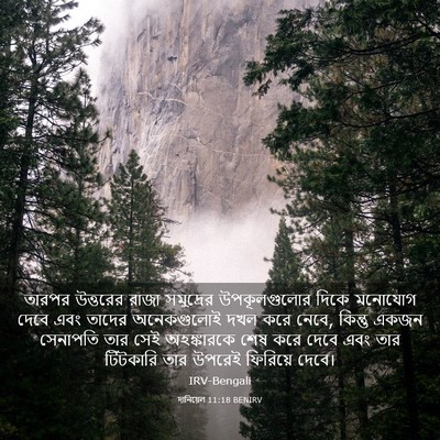 Picture 03 - দানিয়েল 11:18 BENIRV - তারপর উত্তরের - Bible Verse Picture