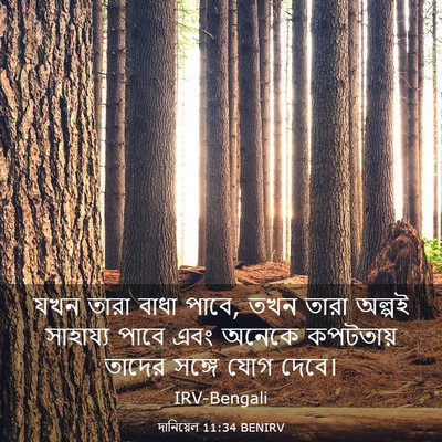 Picture 03 - দানিয়েল 11:34 BENIRV - যখন তারা বাধা পাবে, - Bible Verse Picture