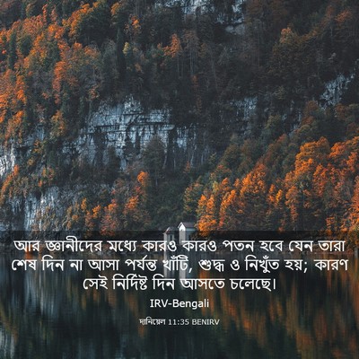 Picture 03 - দানিয়েল 11:35 BENIRV - আর জ্ঞানীদের - Bible Verse Picture