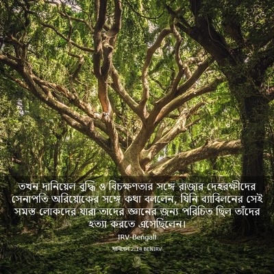 Picture 03 - দানিয়েল 2:14 BENIRV - তখন দানিয়েল - Bible Verse Picture