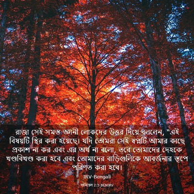 Picture 03 - দানিয়েল 2:5 BENIRV - রাজা সেই সমস্ত - Bible Verse Picture