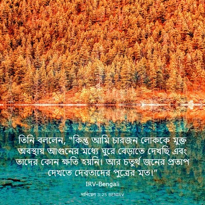 Picture 03 - দানিয়েল 3:25 BENIRV - তিনি বললেন, - Bible Verse Picture