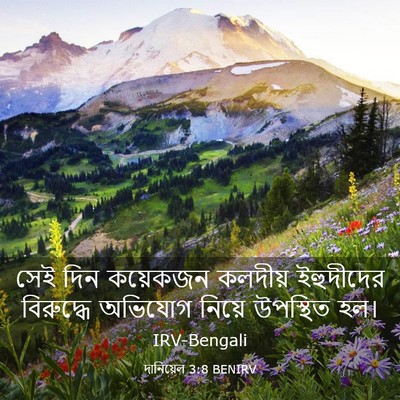 Picture 03 - দানিয়েল 3:8 BENIRV - সেই দিন কয়েকজন - Bible Verse Picture