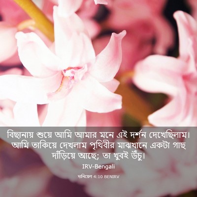 Picture 03 - দানিয়েল 4:10 BENIRV - বিছানায় শুয়ে - Bible Verse Picture