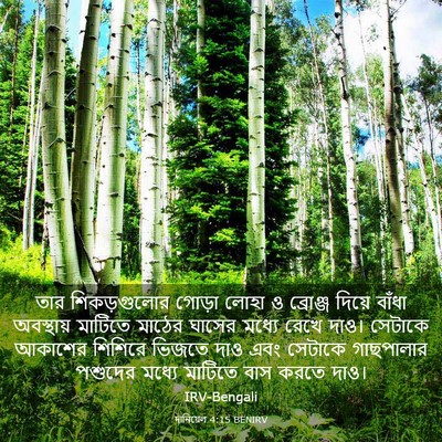 Picture 03 - দানিয়েল 4:15 BENIRV - তার শিকড়গুলোর - Bible Verse Picture