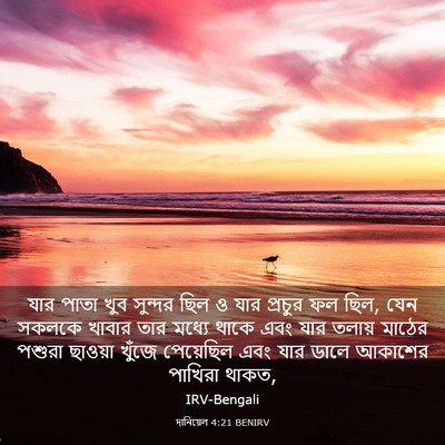Picture 03 - দানিয়েল 4:21 BENIRV - যার পাতা খুব - Bible Verse Picture