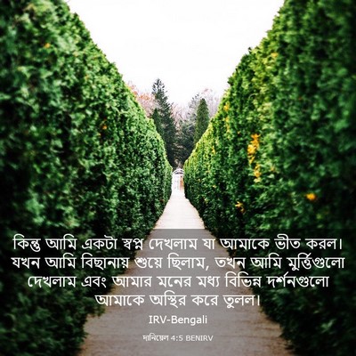 Picture 03 - দানিয়েল 4:5 BENIRV - কিন্তু আমি একটা - Bible Verse Picture