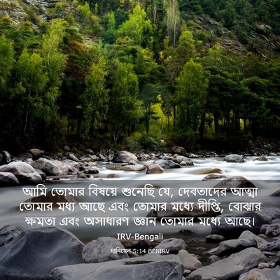 Picture 03 - দানিয়েল 5:14 BENIRV - আমি তোমার বিষয়ে - Bible Verse Picture