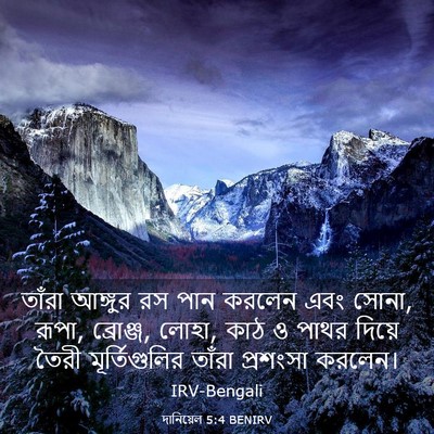 Picture 03 - দানিয়েল 5:4 BENIRV - তাঁরা আঙ্গুর রস - Bible Verse Picture