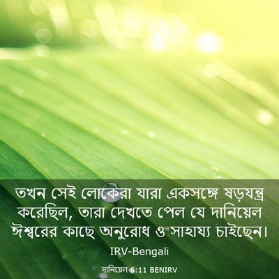 Picture 03 - দানিয়েল 6:11 BENIRV - তখন সেই লোকেরা - Bible Verse Picture