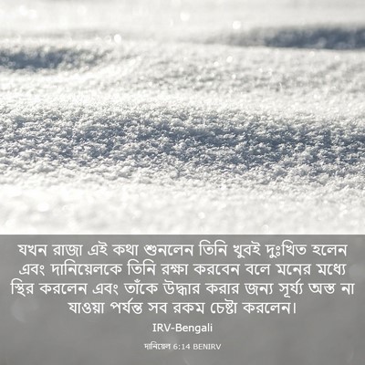 Picture 03 - দানিয়েল 6:14 BENIRV - যখন রাজা এই কথা - Bible Verse Picture