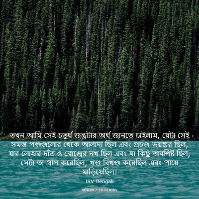 Picture 03 - দানিয়েল 7:19 BENIRV - তখন আমি সেই চতুর্থ - Bible Verse Picture
