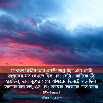 Picture 03 - দানিয়েল 7:5 BENIRV - সেখানে দ্বিতীয় - Bible Verse Picture