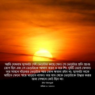 Picture 03 - দানিয়েল 8:7 BENIRV - আমি দেখলাম ছাগলটা - Bible Verse Picture