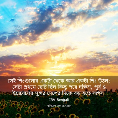Picture 03 - দানিয়েল 8:9 BENIRV - সেই শিংগুলোর একটা - Bible Verse Picture